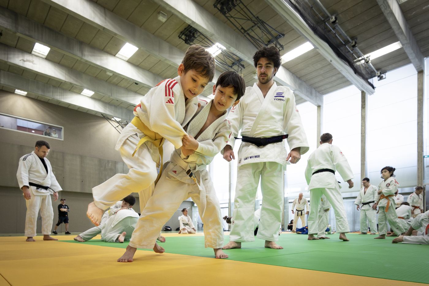 Impression von einem Torio Judo-Event 6